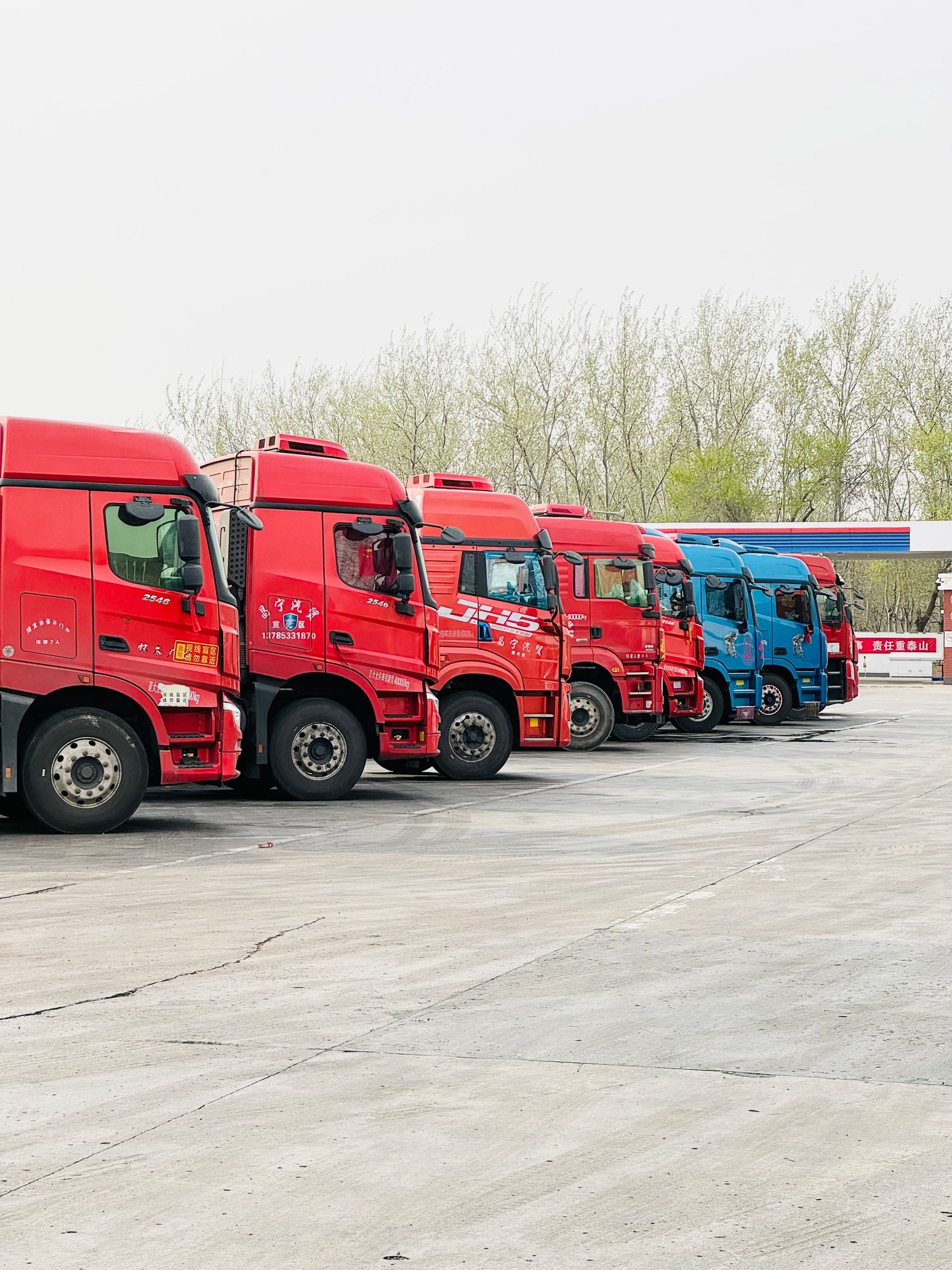 Row of heavy haulage trucks lined up in a yard